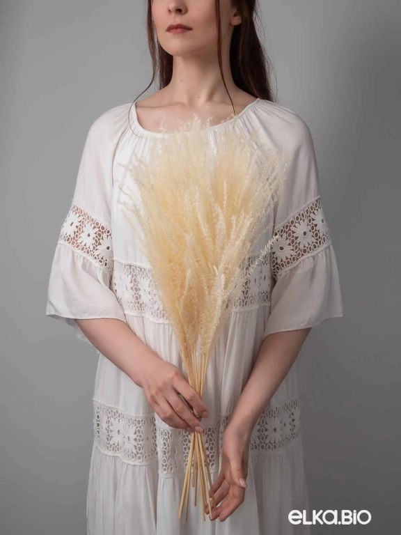 Мискантус светло-бежевый (9-10шт) М039