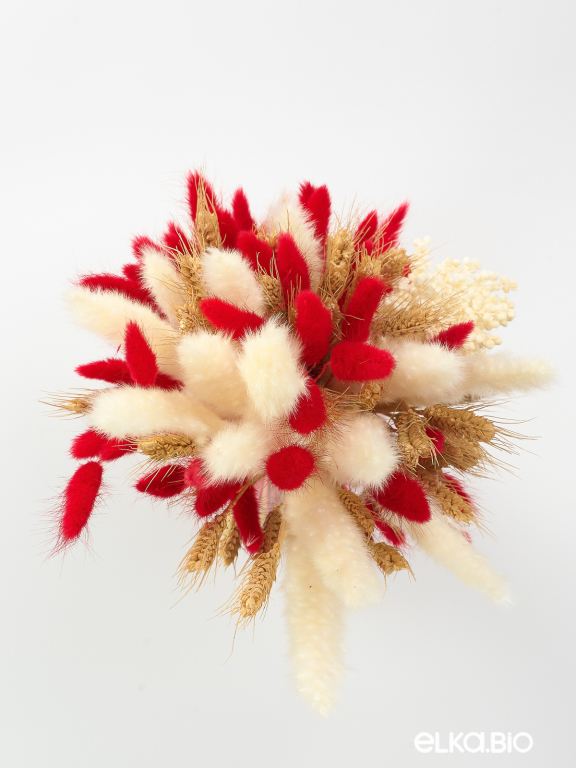 Сухоцветы для декора в наборе М091