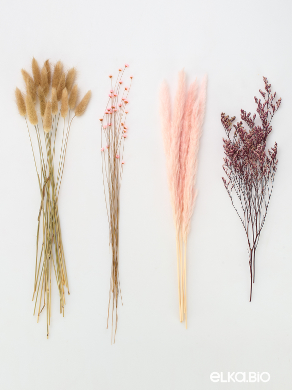 Набор сухоцветов для дома М346