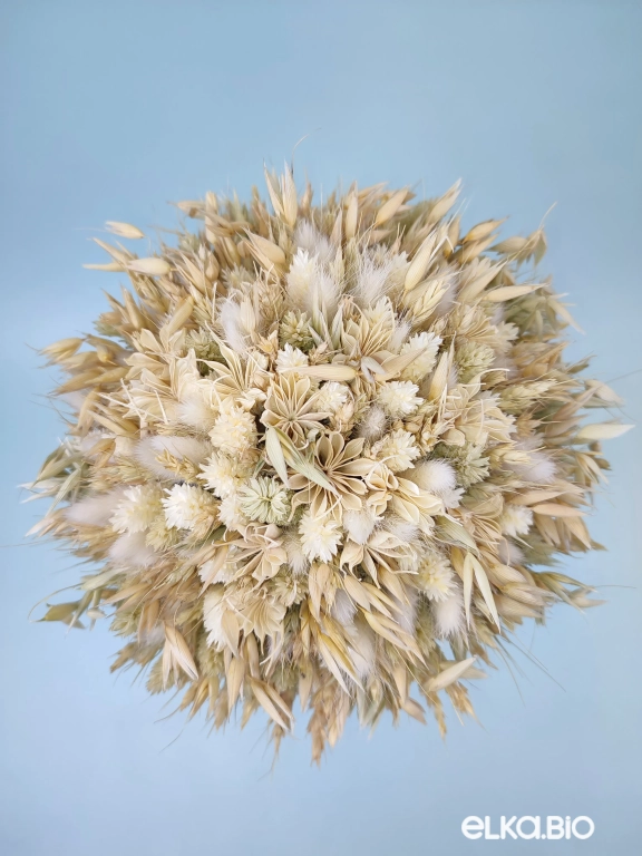 Букет из колосьев Т251-B113