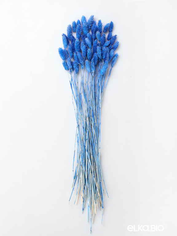 Фалярис тёмно-голубой (40шт) М117