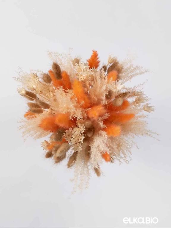 Натуральные сухоцветы для декора. Набор М075