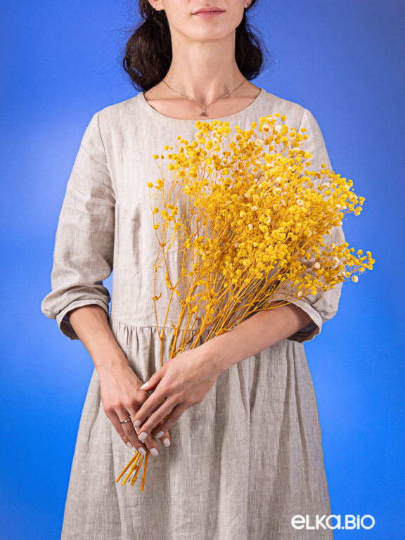 Гипсофила стабилизированная жёлтая 550 гр. первый сорт М5160