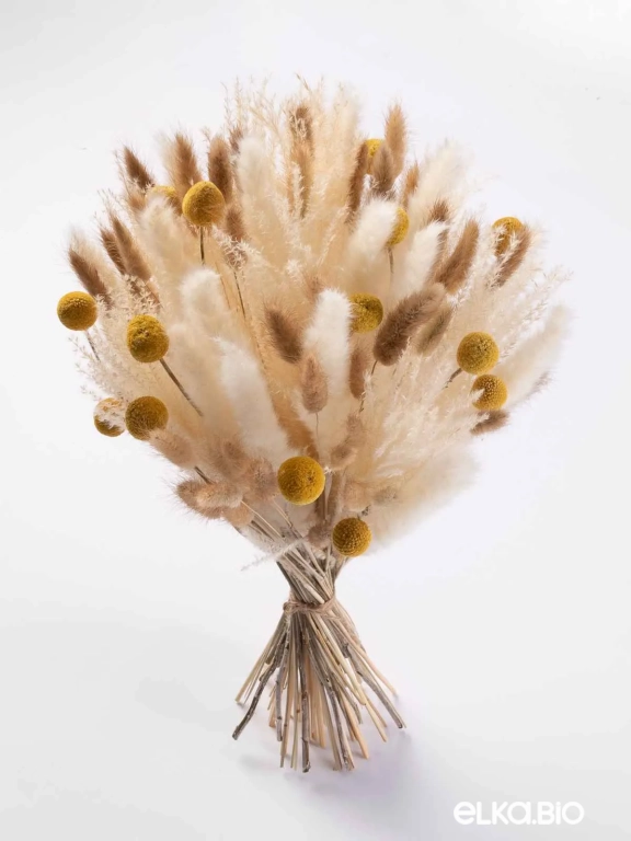 Набор сухоцветов для вазы. Набор М077