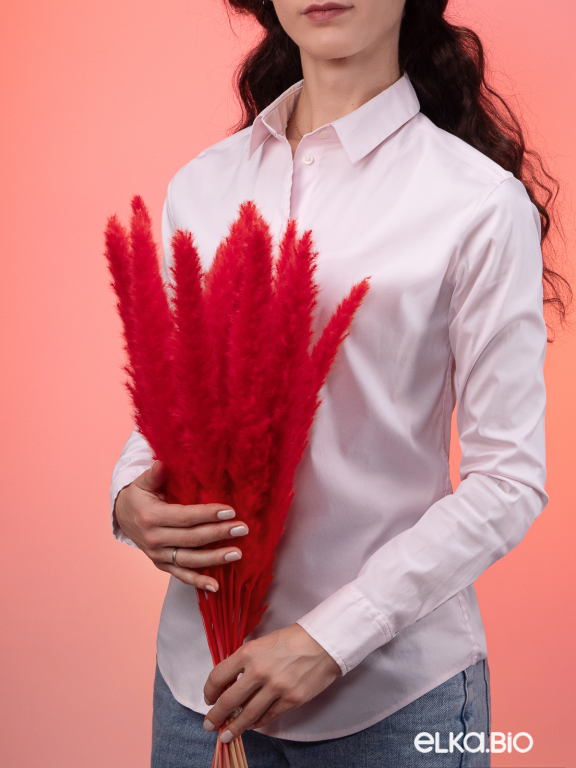 Трава сухоцвет пампас мини 15 шт. высший сорт красный