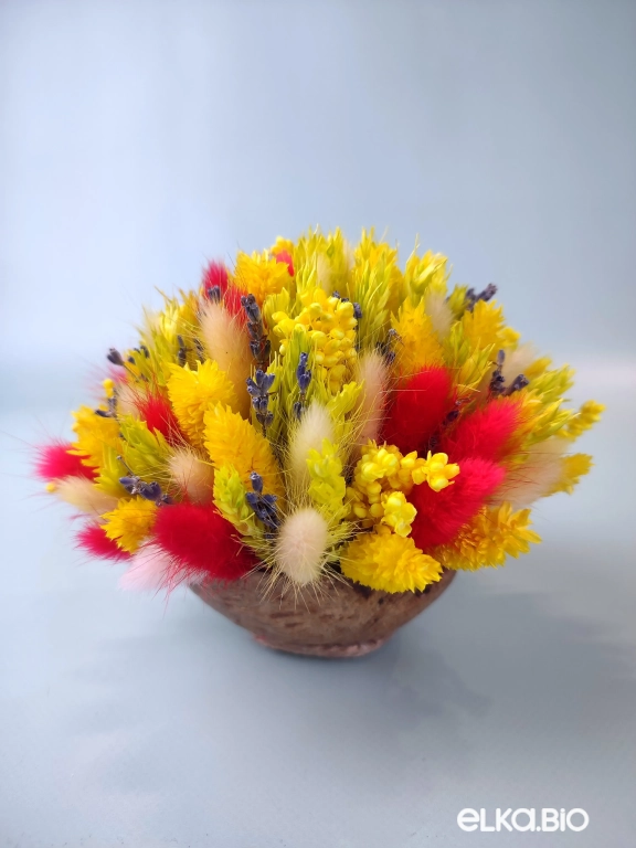 Яркая композиция из сухоцветов в скорлупе кокоса Б99-B113