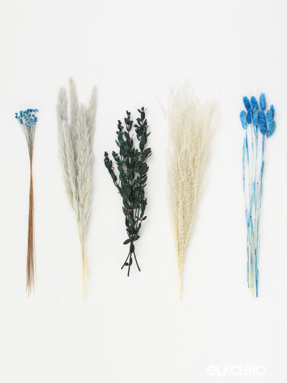 Нежные сухоцветы набор для декора М336