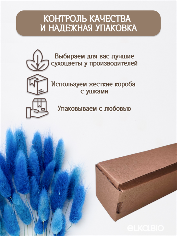 Лагурус синий 30 шт. Высший сорт. Высота 25-35 см М483