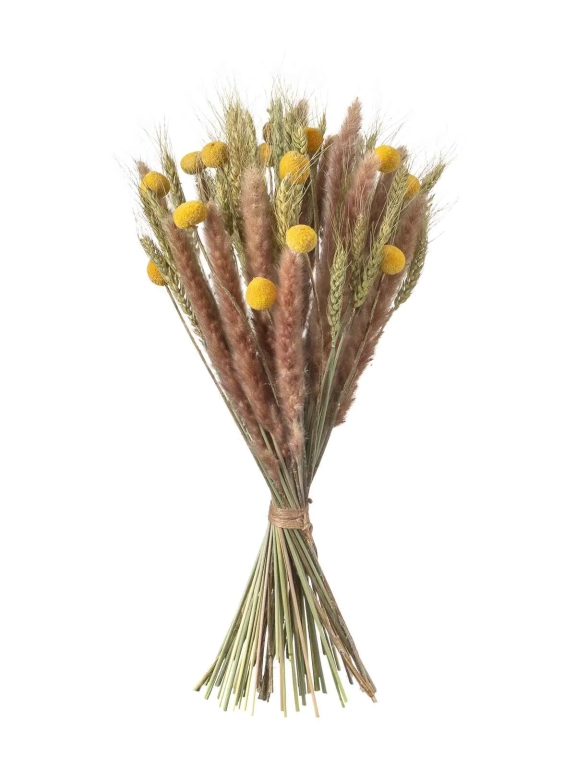 Натуральные сухоцветы для декора. Набор М066