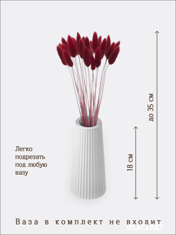 Лагурус бордово-коричневый 30 шт. Высший сорт. Высота 25-35 см М472