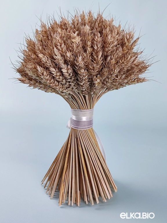 Букет из пшеницы Т148-B102