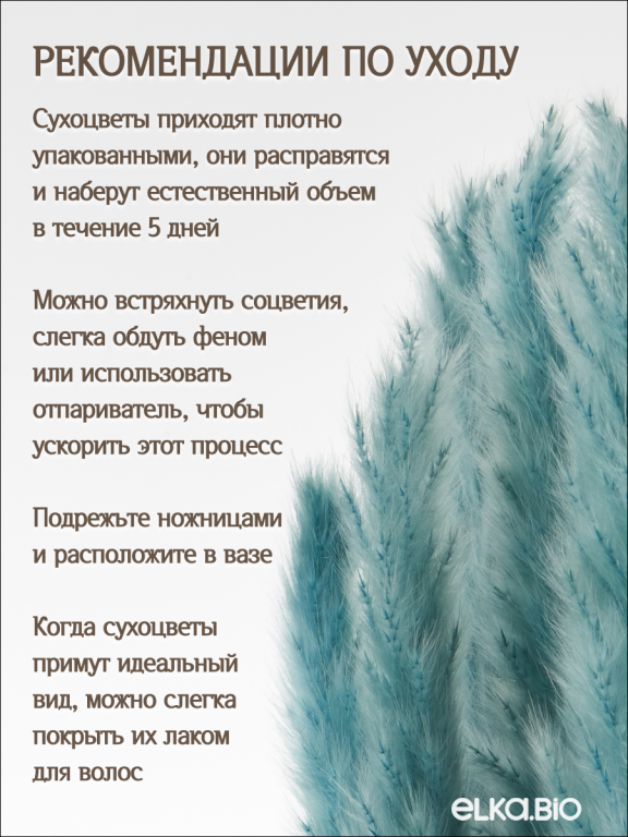 Пампас мини серо-малахитовый 15 шт. Высший сорт. Высота 40-50 см. М138