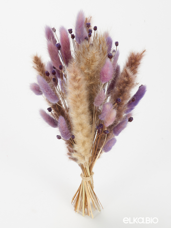 Сухоцветы для декора набор в нежных тонах М310