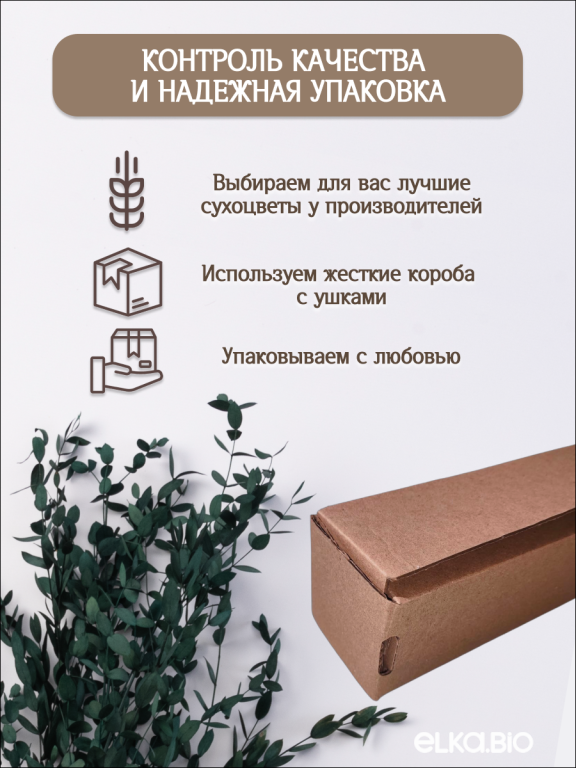 Эвкалипт парвифолия изумрудный  80г Высший сорт М055