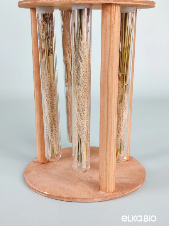 Настольная композиция из сухоцветов в колбах Б52-B104