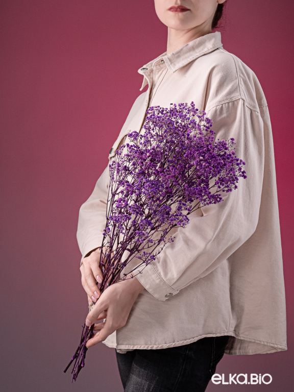 Гипсофила стабилизированная сиреневая 550 гр. первый сорт М5166