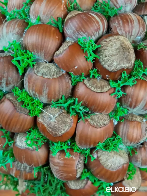 Декоративный шар из скорлупы фундука Фундук (маленький) М5-В20