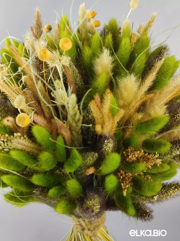 Букет с зеленым лагурусом Б51-B101