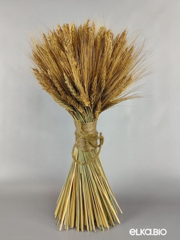 Большой букет из колосьев пшеницы Т111-B100