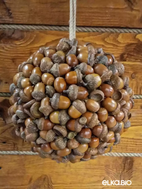 Декоративный шар из желудей красного дуба Желуди (большой) П45-В36