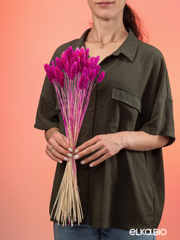 Фалярис фуксия (40шт) М120