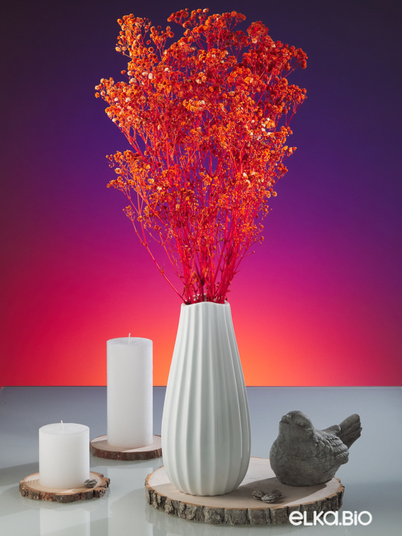 Гипсофила стабилизированная оранжевая 140 гр. высший сорт М163