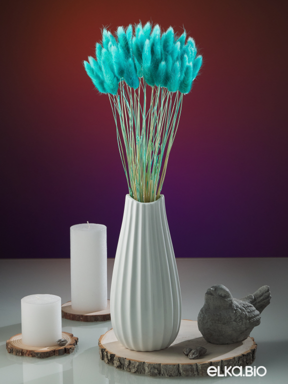 Лагурус ярко-бирюзовый высший сорт - 60 шт