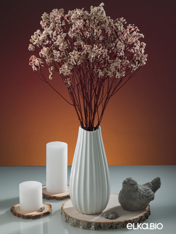 Цветы лимониума белые (80г) М215