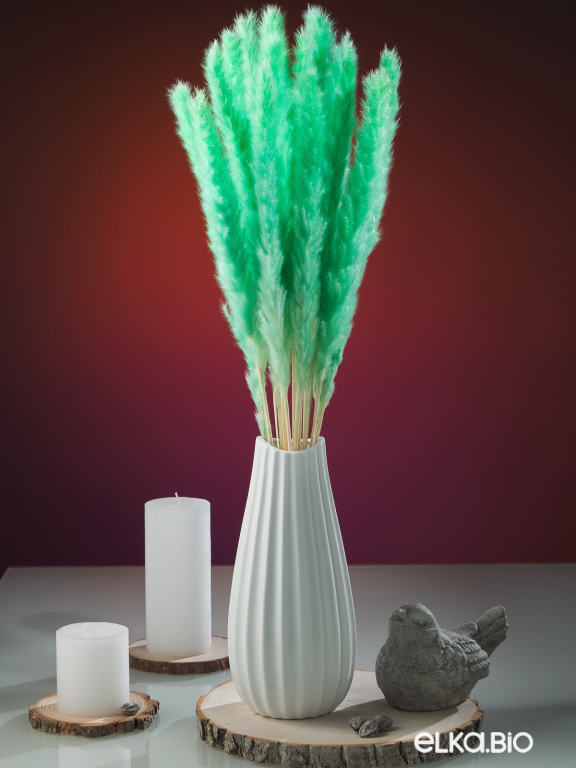 Трава сухоцвет пампас мини 90 шт. зелёно-бирюзовый первый сорт