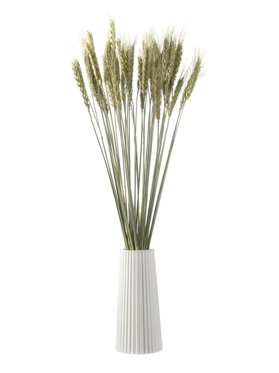 Пшеница зелёная (40 шт) М047 Пшеница зелёная (40 шт) М047