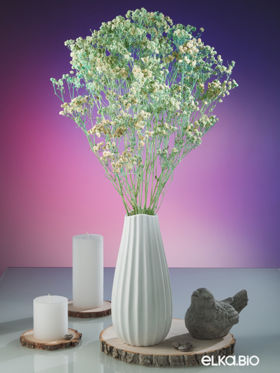 Гипсофила стабилизированная светло-бирюзовая 140 гр. высший сорт М159