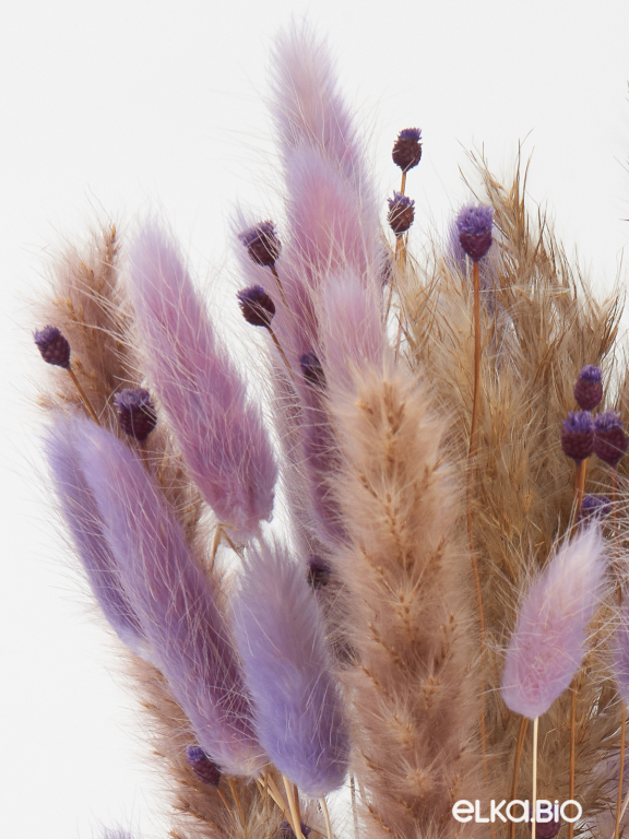 Сухоцветы для декора набор в нежных тонах М310