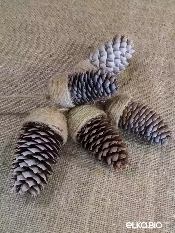 Декоративный набор из еловых шишек (5шт) Белый ангел А54-В41