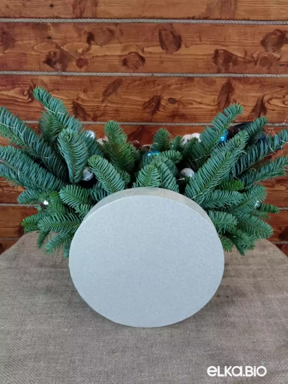 Новогодняя композиция из Нобилиса Королева Анна Ю52-В714