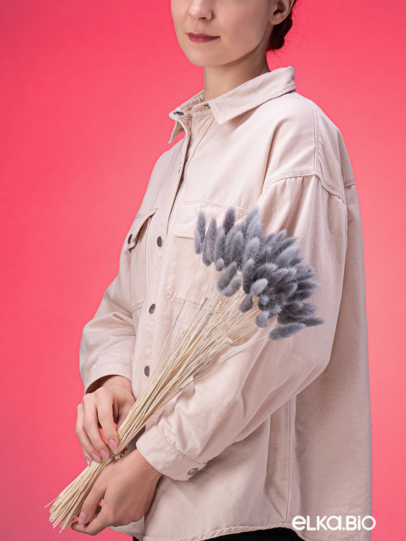 Лагурус серый первый сорт - 300 шт