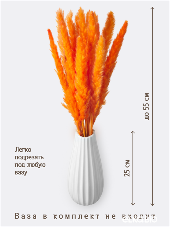 Пампас мини оранжевый 15 шт. Высший сорт. Высота 40-50 см. М032
