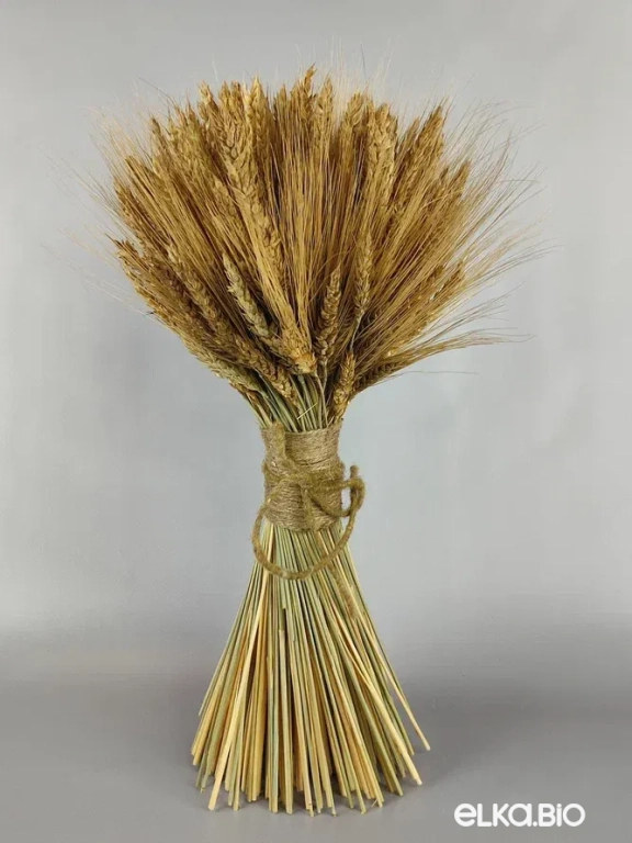 Большой букет из колосьев пшеницы Т111-B100