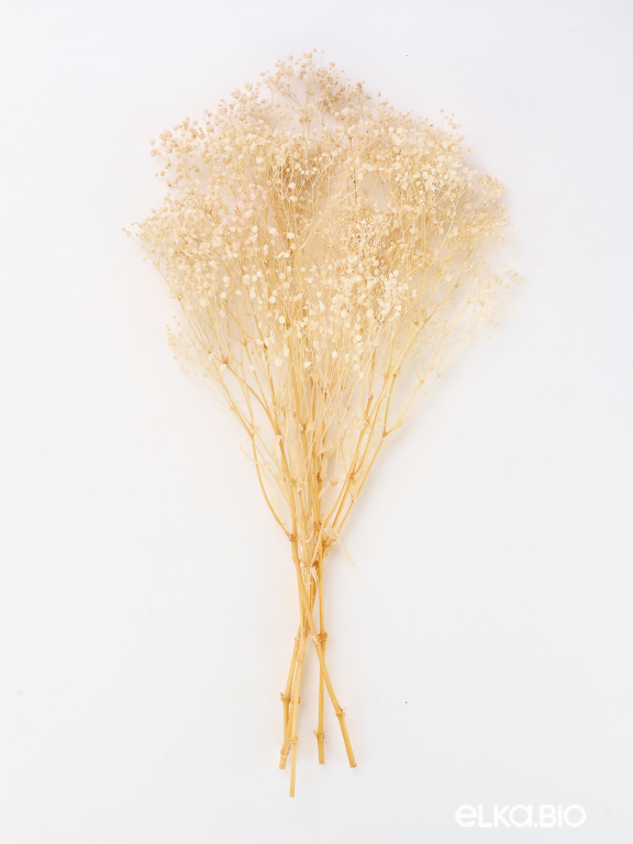 Гипсофила стабилизированная белоснежная 140 гр. высший сорт М157