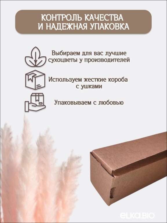 Пампас мини светло-розовый 45 шт. Высший сорт М269