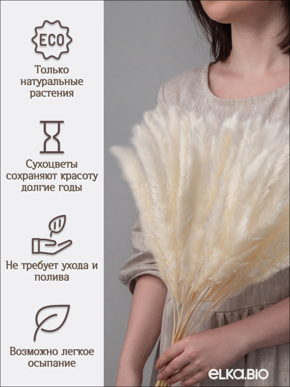Пампас мини белый 45 шт. Высший сорт М265
