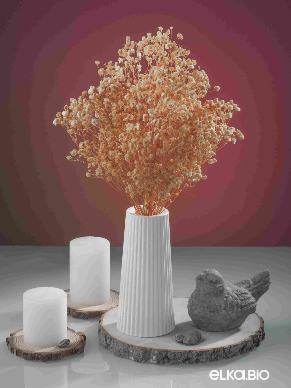 Гипсофила бежевая 50 г. Высший сорт - стабилизированная М493