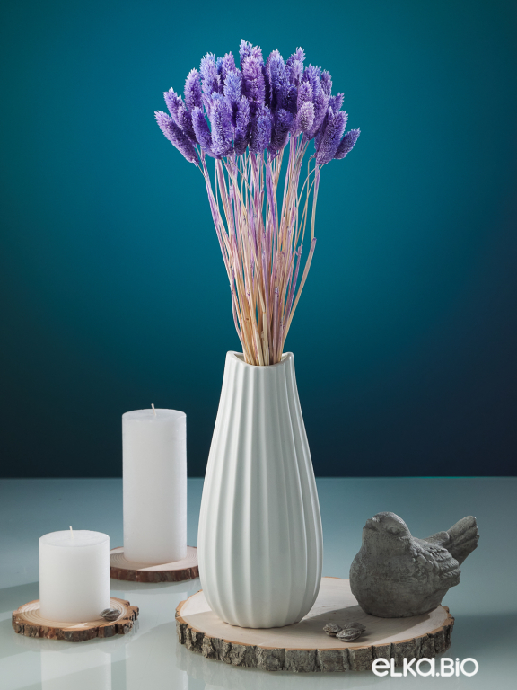 Фалярис сиреневый (40шт) М115