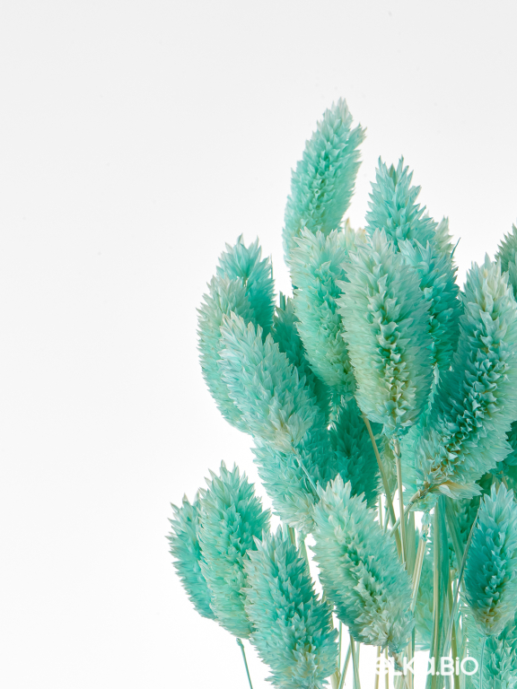 Фалярис светло-бирюзовый (40шт) М111 Фалярис светло-бирюзовый (40шт) М111