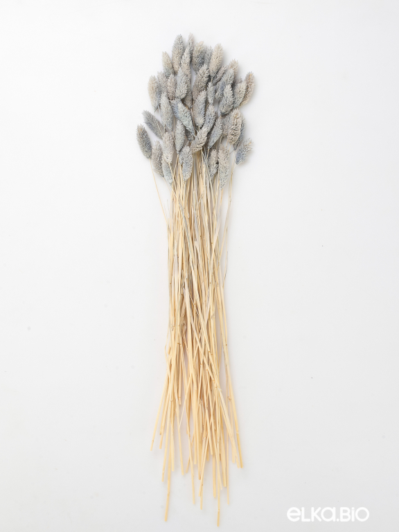 Фалярис серый (40шт) М113