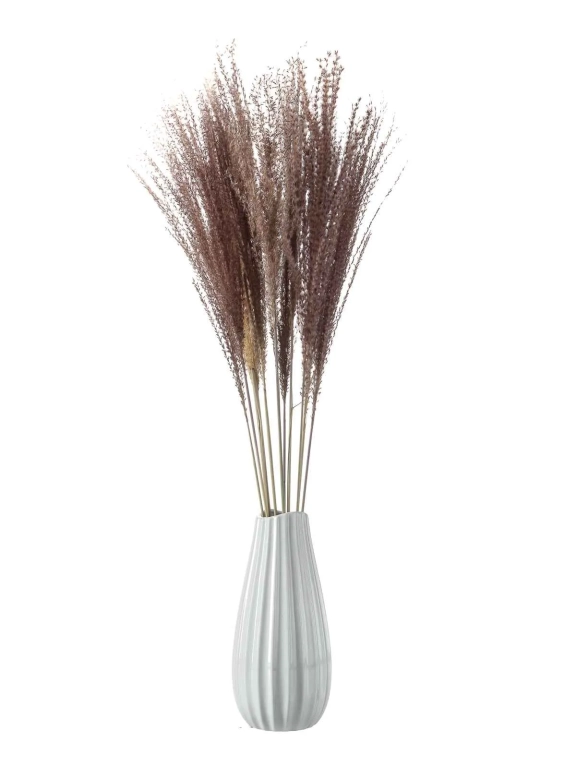 Мискантус натуральный (9-10 шт) М041 Мискантус натуральный (9-10 шт) М041