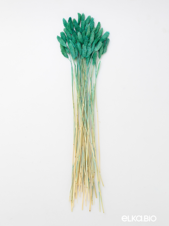 Фалярис аквамарин (40шт) М102