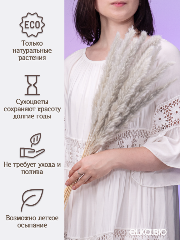 Пампас мини серый 15 шт. Высший сорт. Высота 40-50 см. М139