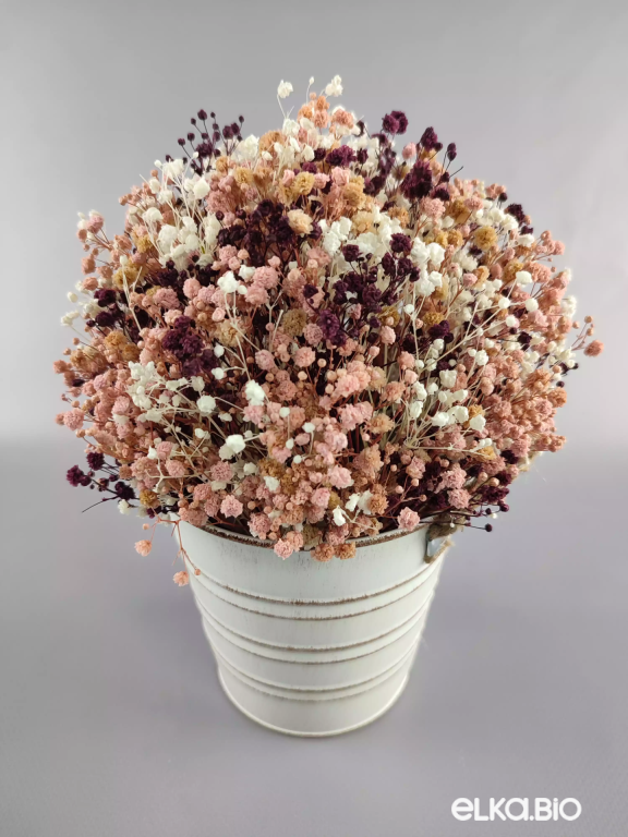 Букет цветов гипсофилы в ведерке Б49-B101