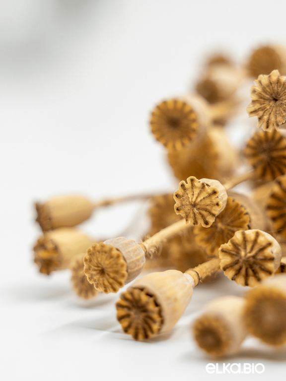 Мак натуральный (40г) М668