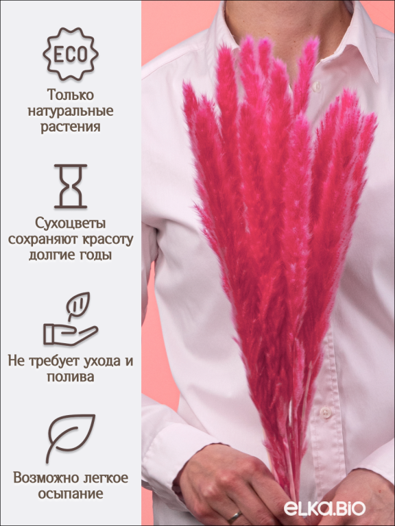 Пампас мини ярко-розовый 15 шт. Высший сорт. Высота 40-50 см. М619
